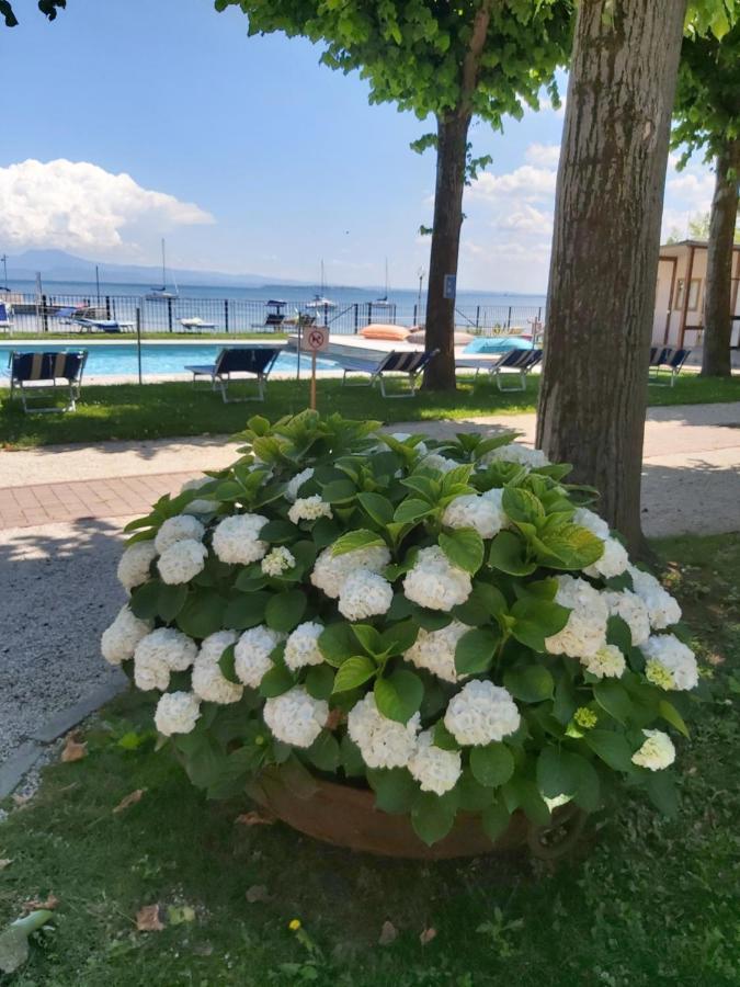 Villaggio Turistico Dei Tigli 파뎅게술가르다 외부 사진